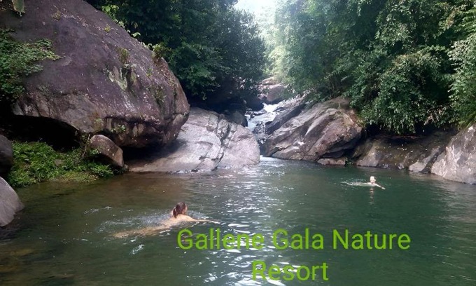 Kithulgala Complejo | Gallene Gala Nature Resort