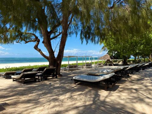 Galu Beach Cama Y Desayuno | Galu Ecolodge - Diani Beach