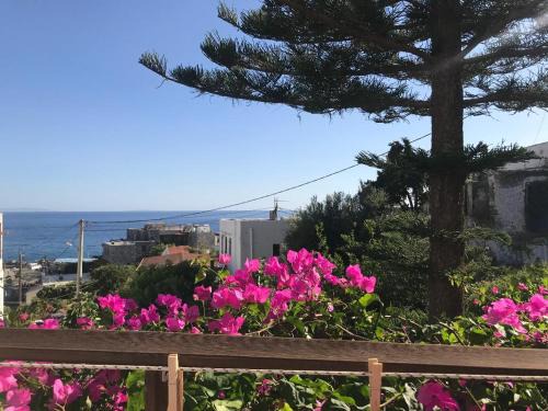 Khora Sfakion Apartamento | Garden House