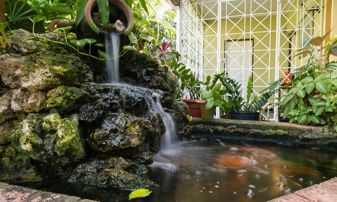 Eastwood Park Apartamento | Garden of Bliss#2, RedHill Fishpond, Kingston