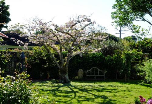 Otaki Apartamento | Garden Retreat