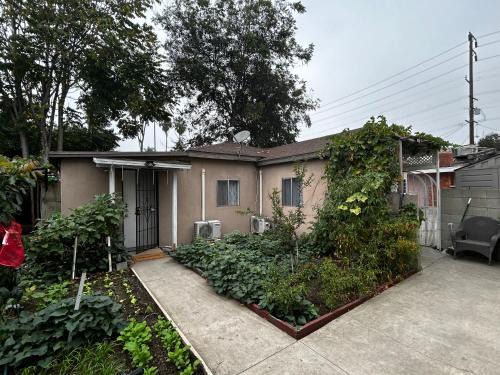 El Monte Casa | garden with Iron Gate, East Los Angeles 2b2b
