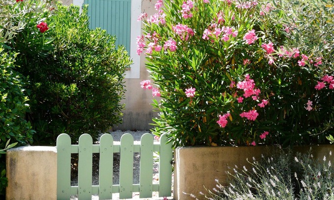 St.-Remy-de-Provence Casa | Jardines Fontanille Mazet árboles de olivo 33 viven en el corazón de la Provenza