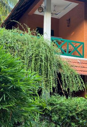 Kumarakom Casa | Garggi Kumarakom Village Homestay
