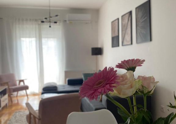 Arandelovac Apartamento | Gavrilovic