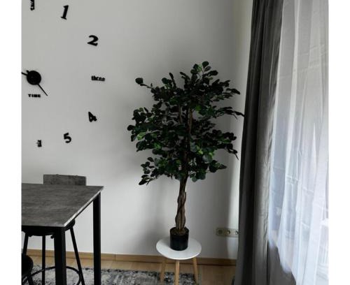 Belecke Apartamento | Gemütliche Wohnung in Belecke