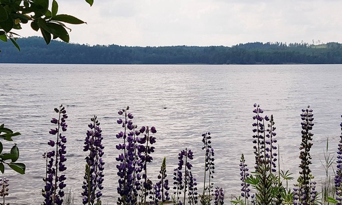 Odskolt Casa | Gemütliches Schwedenhaus am See, 6 Pers., 2 Schlafzi., Kamin, Natur