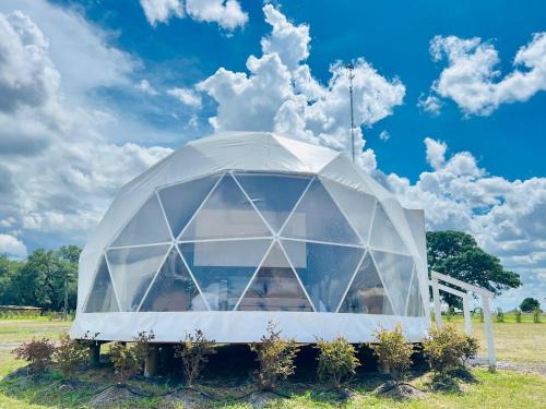Muldoon Otro | GEO Dome - Flatonia Glamping Retreat & RV Resort