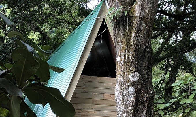 San Gerardo de Dota Apartamento | Escápese al Santuario en el bosque nuboso de San Gerardo de Dota