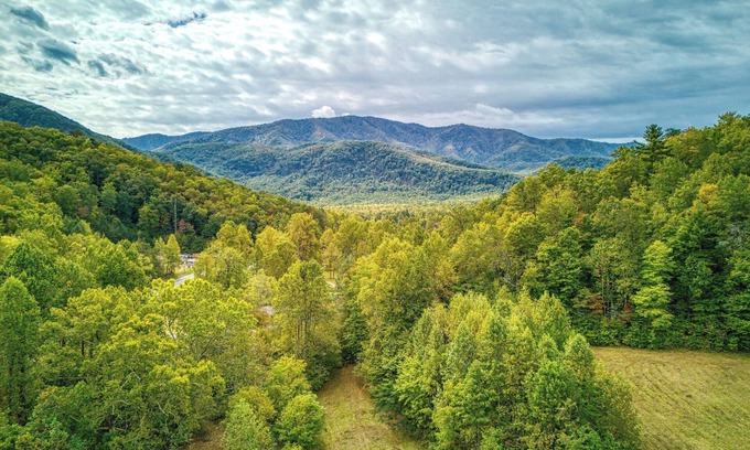 Cosby Cabina | Getaway Cottage, Pickleball Court, Creek, WIFI, Mountain Views, No Cleaning Fee