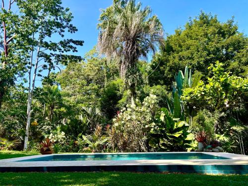 Chiguata Casa | Ginger and Cacao, Luxury Villas and Cottage with Pool and Ocean Views
