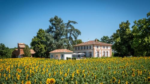 Lacourt-Saint-Pierre Casa | Gite ANDA- piscine- Montauban - Lacourt-Saint-Pierre