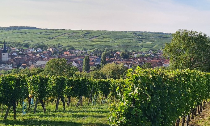Bischoffsheim Casa | Gite des rossignols near Obernai sleeps 4 with large terrace.