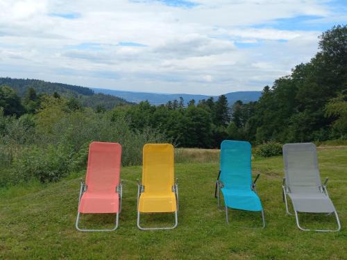 Dommartin-les-Remiremont Casa | GITE LA HOUBETTE VUE MAGNIFIQUE - Nature