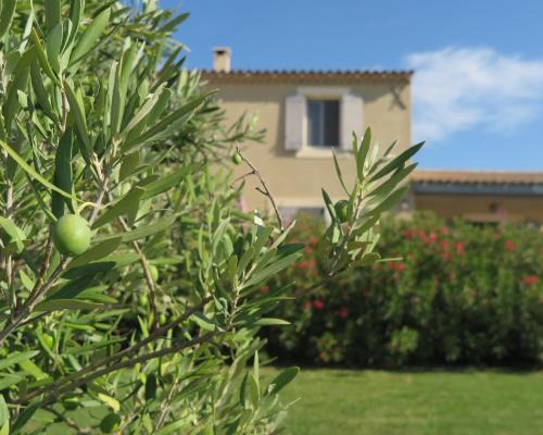 Cabrieres-d'Avignon Apartamento | Gite Le Petit Luberon LISIANTHUS