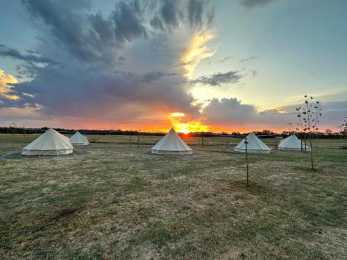 East Wangaratta Otro | Glamping at Beltie Park