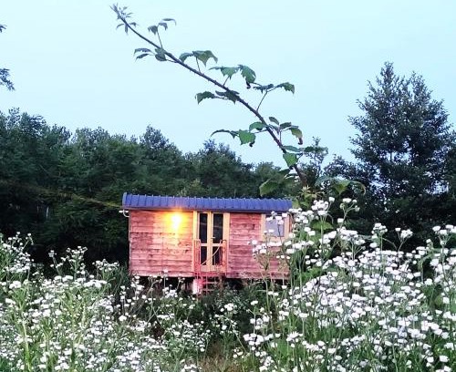 Albairate Casa | Glamping Casetta sul lago