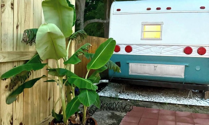 Wrightsboro Apartamento | Glamping Getaway! 10 Min to Downtown, 22 min to Beach!