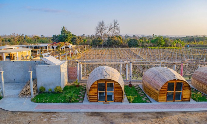 San Juan Bautista Alquiler De RV | Glamping Toneles y Viñedos en la Ruta del Pisco