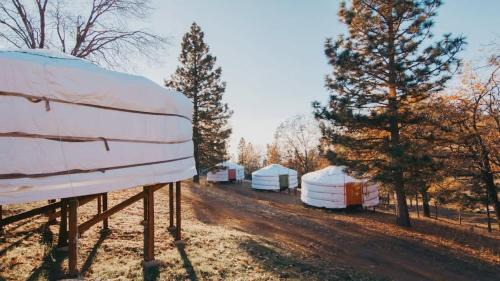 Dunlap Casa | Glamping yurt at Sequoia Highland Camp