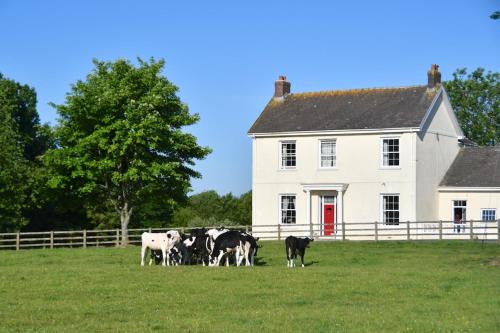 Llangynin Cama Y Desayuno | Glascoed Farmhouse