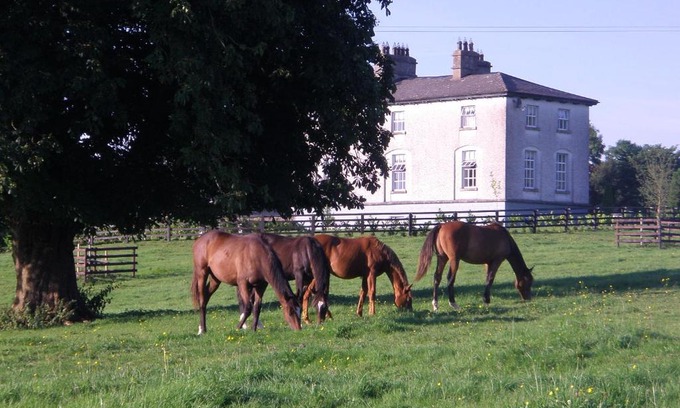 Colehill Casa | Glebe House