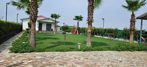 Noida Casa | GoBravo 48 -2BHK Farm with Pool & Lawn Sector 150 Noida