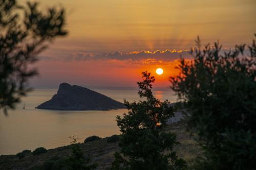 Datca Cama Y Desayuno | Goknar Knidos Eco Hotel & Farm