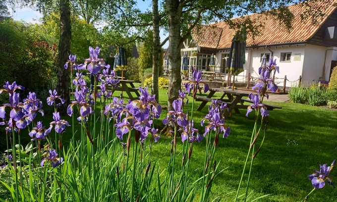 Cambridge Hotel | Golden Ball Hotel