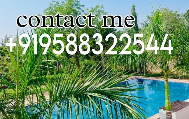 Gurugram Casa | Golden tulip by Private Pool farmhouse Gurgaon
