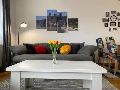 Golubac Apartamento | Golubica