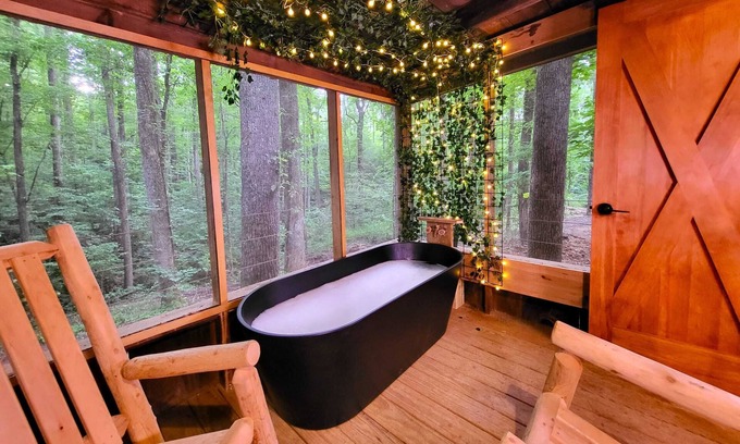 Saluda Cabina | Good Times cabin at Cabin Fever in NC!