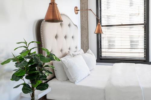 Historic Core Apartamento | Gorgeous Apartment 2-bedroom 2-bathroom