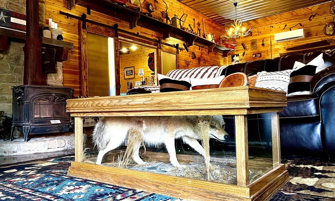 Martinsville Cabina | Gorgeous Luxury Cabin with Private Horse Stalls & Over 20 miles of trails