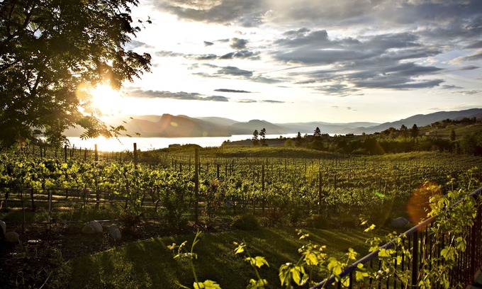Okanagan-Similkameen Casa | Hermosa suite en el viñedo de Gjoa ubicada en el corazón del banco Naramata