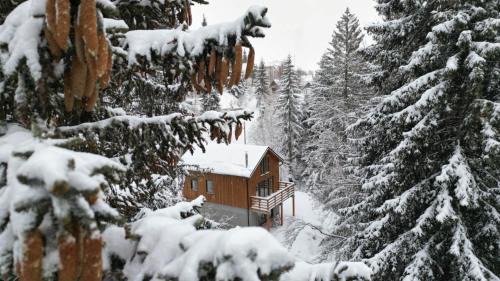 Kopaonik Chalet De Esquí | Gorska Vila