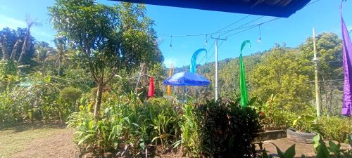 Munduk Casa | Gosela Bali