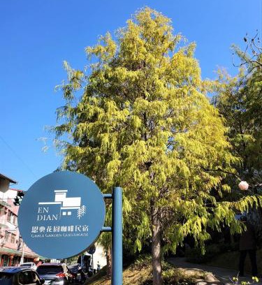 Shuili Casa | Grace Garden Coffee Homestay