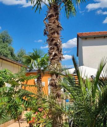 Frankenheim-Lindennaundorf Apartamento | Grahl´s Ferienwohnung
