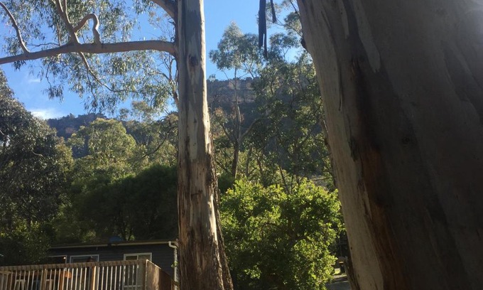Halls Gap Cabina | Grampians Nest