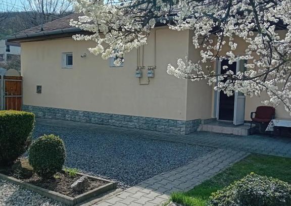 Medias Casa | Grande