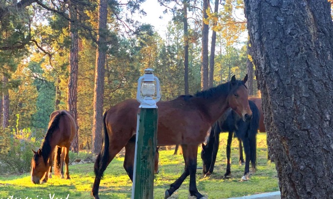Ruidoso Casa | Great Location