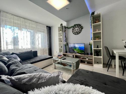 Debrecen Apartamento | GreatForestSportAndSpaUniversityFlat