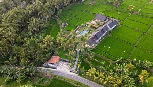 Mas Casa | Green Coconut Cottage