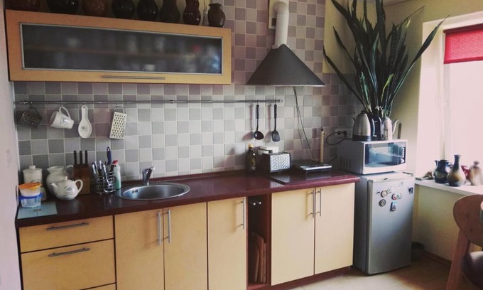 Ignalina Apartamento | Green Hall apartment