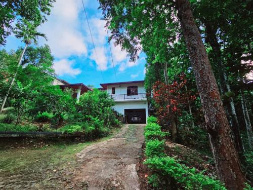 Kandy Casa | Green Heaven