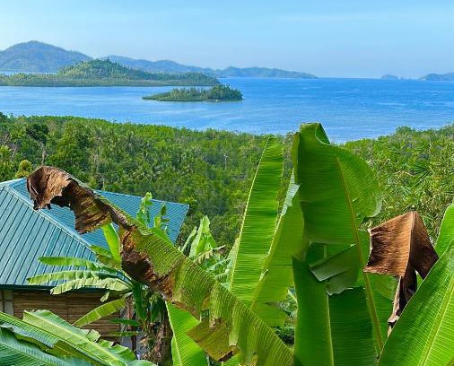 San Vicente Complejo | Green Hill Restaurant & Cottages