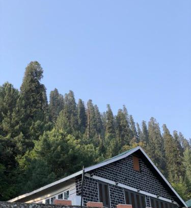 Dunga Gali Hotel | Green Manal Hotel