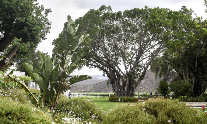 Langeberg Casa | Green Olive Guesthouse