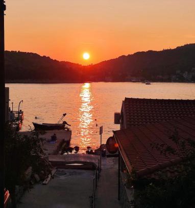 Stikovica Apartamento | Green Sea Villa - Wild Orange Dubrovnik